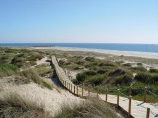 Juntas de freguesia recebem 77 mil euros para limpar praias de Esposende